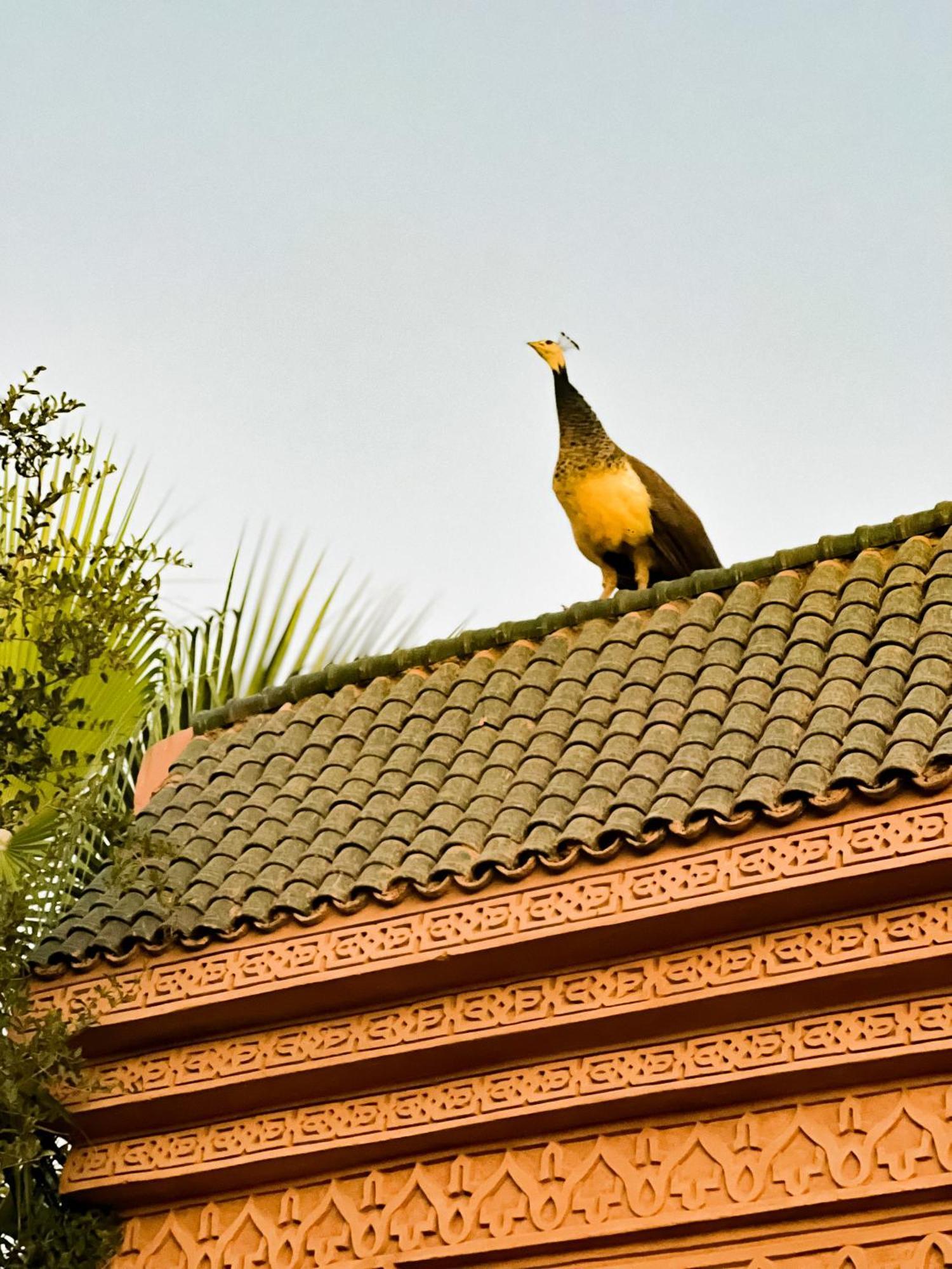 Guest House Qodwa Sidi Abdallah Ghiat 外观 照片